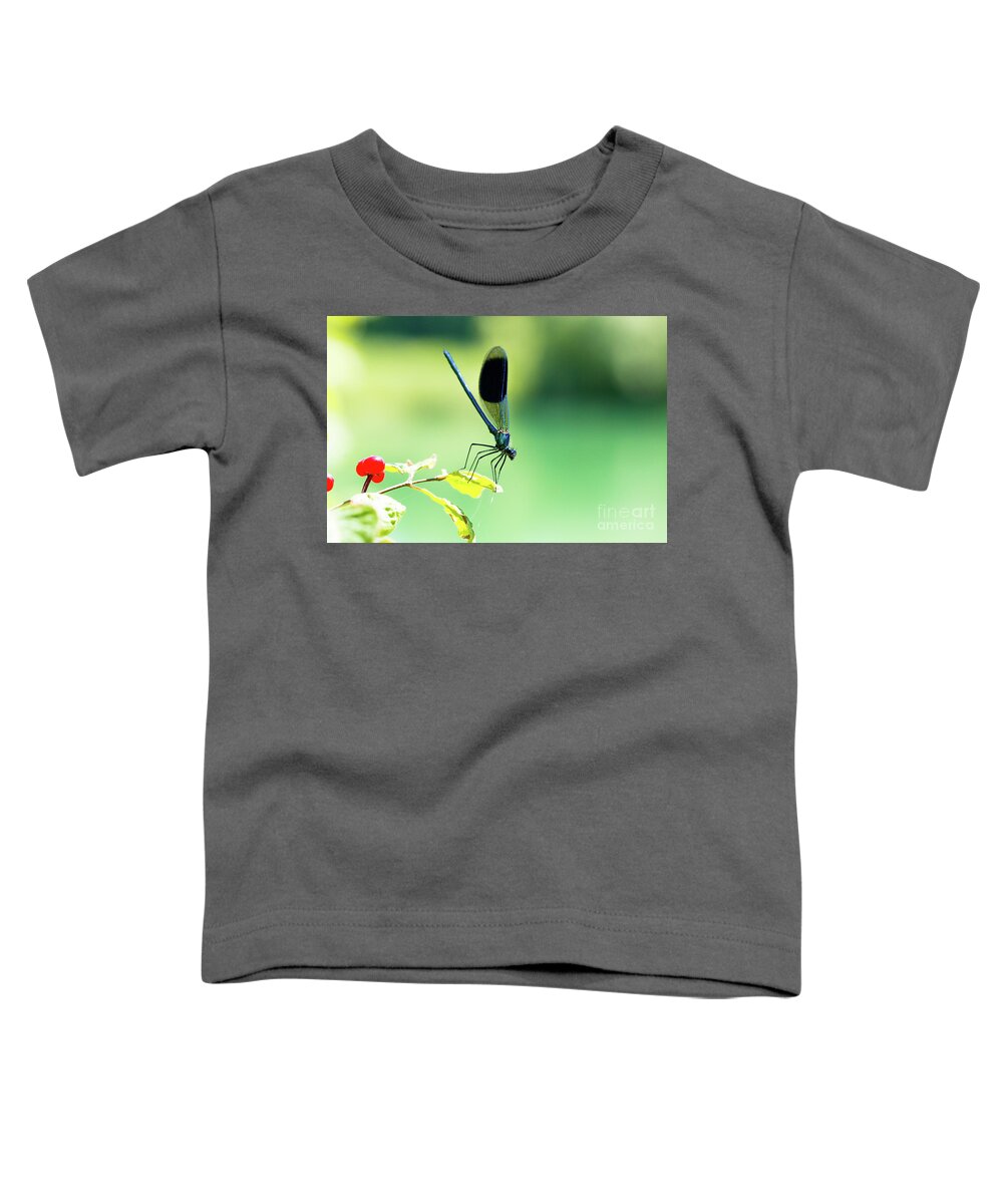 Countryside Toddler T-Shirt featuring the photograph Broad-winged Damselfly, Dragonfly by Amanda Mohler