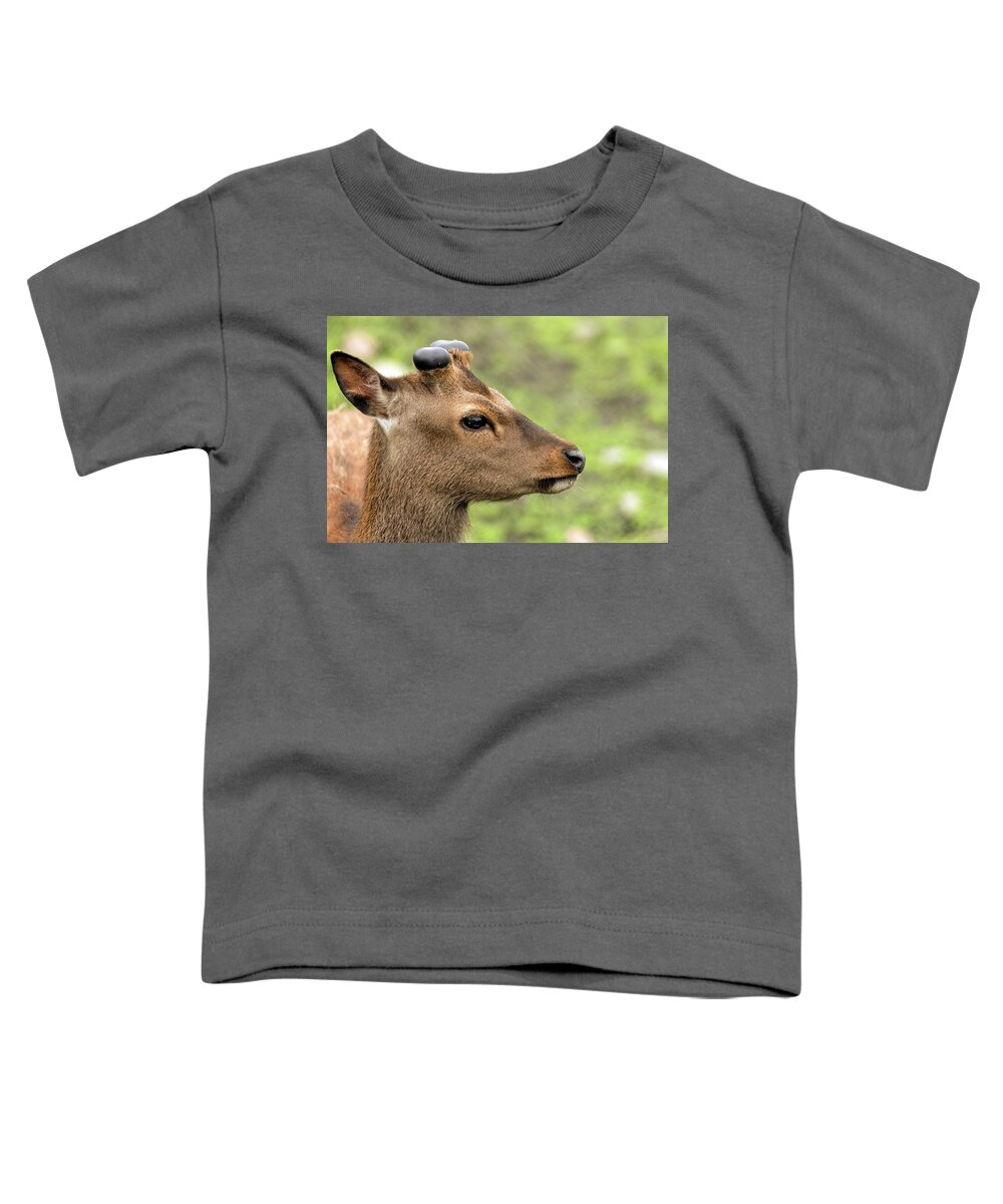 Buck Toddler T-Shirt featuring the photograph Buck Portrait #1 by Sam Rino