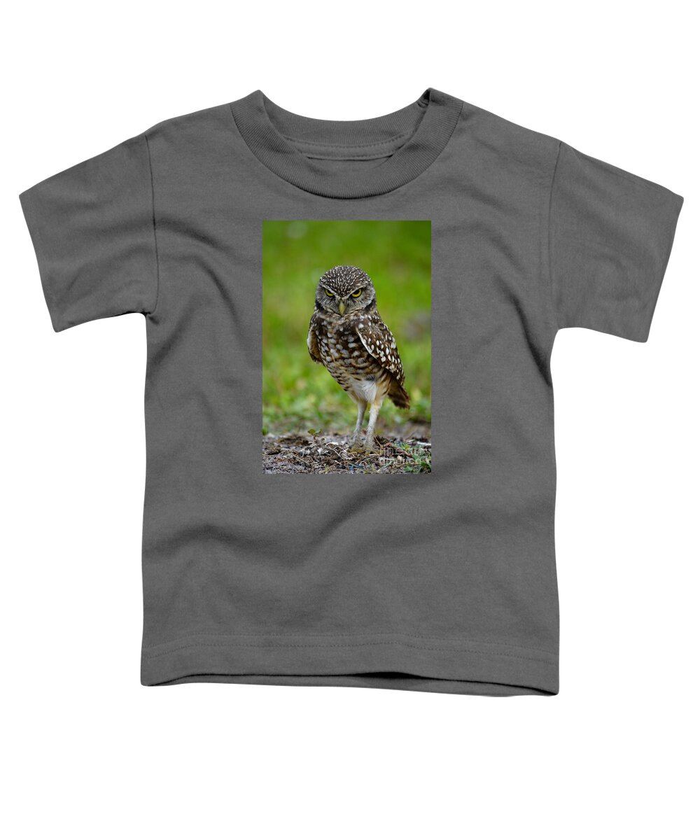 Florida Toddler T-Shirt featuring the photograph Burrowing Owl #1 by Alison Belsan Horton