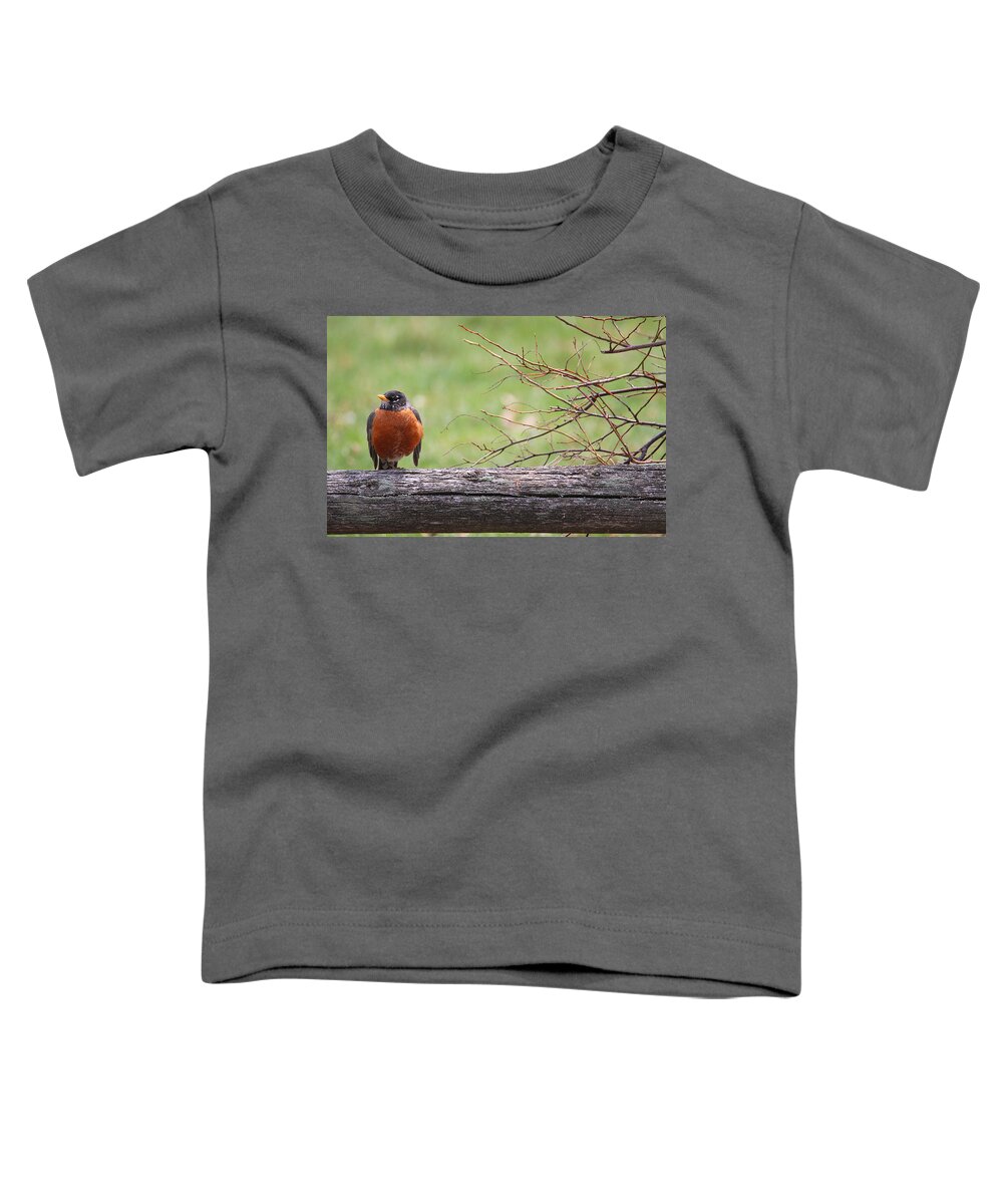 Red Robin Toddler T-Shirt featuring the photograph Country Living #1 by Living Color Photography Lorraine Lynch