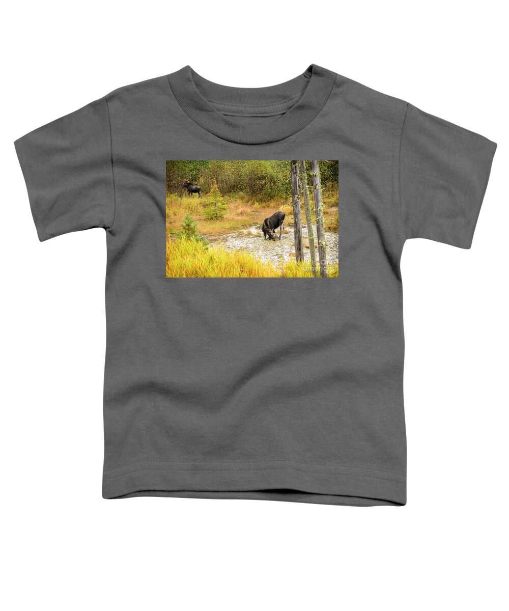 Maine Toddler T-Shirt featuring the photograph Cow Moose and Calf #1 by Alana Ranney