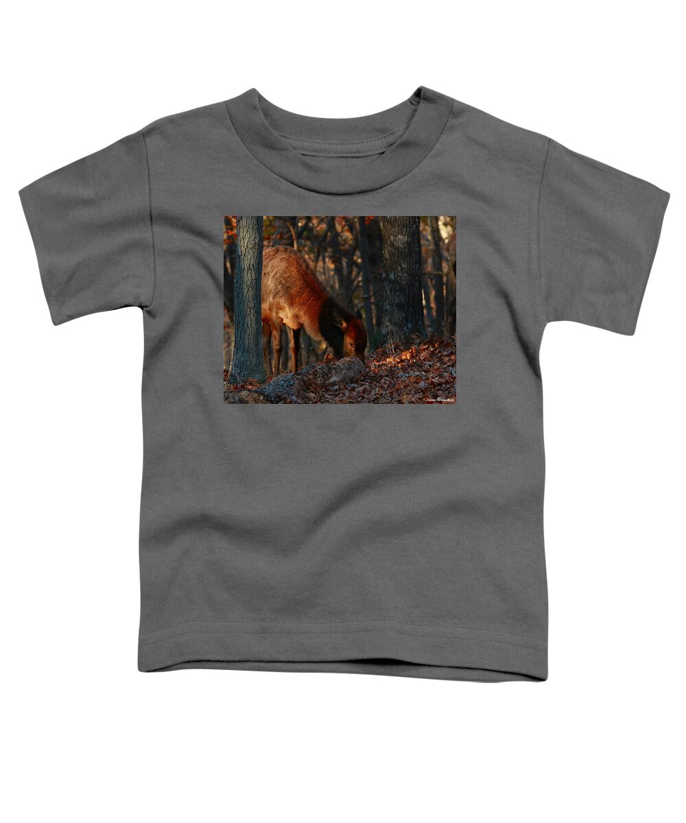 Elk Toddler T-Shirt featuring the photograph Dinnertime #2 by Steve Warnstaff