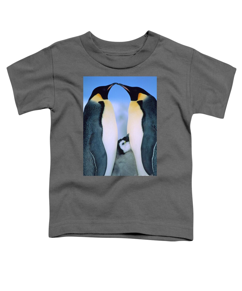 00140141 Toddler T-Shirt featuring the photograph Emperor Penguin Family #1 by Tui de Roy