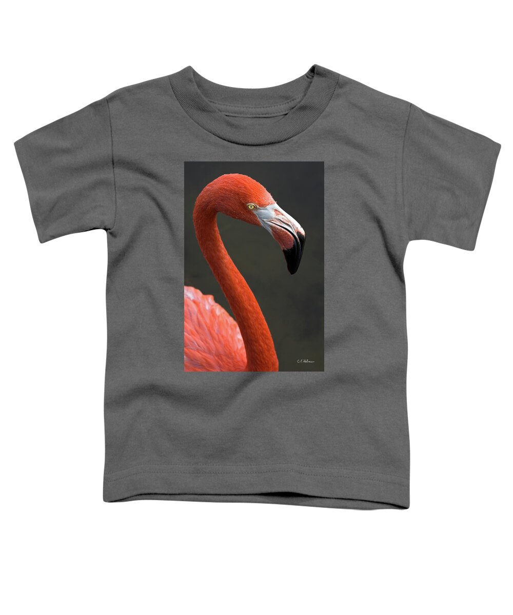 Flamingo Toddler T-Shirt featuring the photograph Flamingo #1 by Christopher Holmes