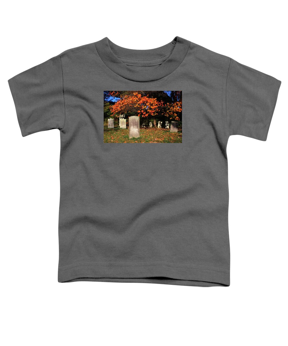 Graveyard Toddler T-Shirt featuring the photograph Graveyard Commack New York #1 by Bob Savage