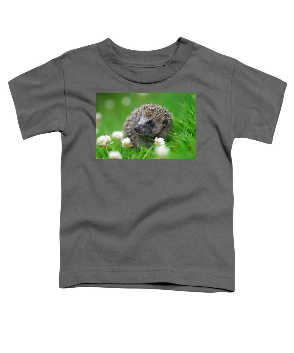 Hedgehog Toddler T-Shirt featuring the photograph Hedgehog #1 by Gavin MacRae