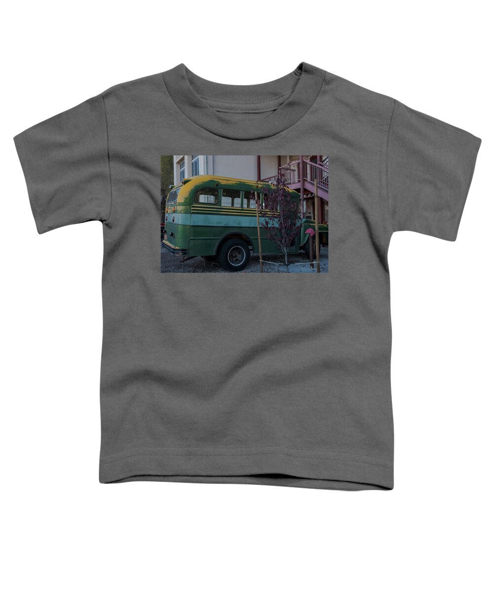 Sedona Toddler T-Shirt featuring the photograph Jerome #1 by Steven Lapkin