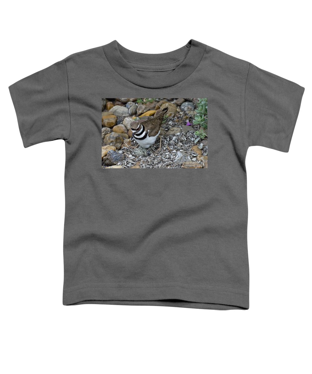 Killdeer Toddler T-Shirt featuring the photograph Killdeer With Eggs #1 by Anthony Mercieca