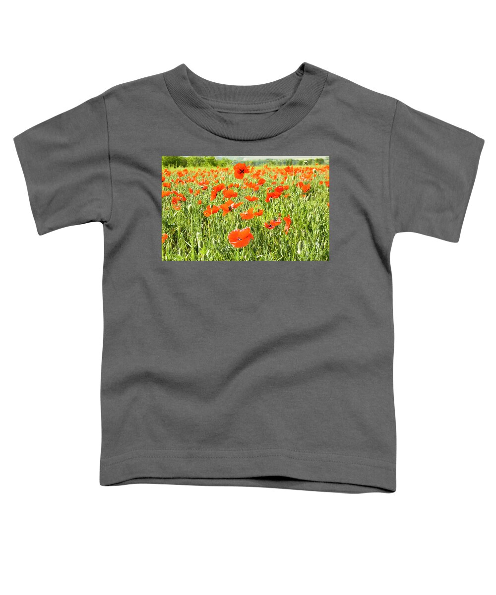 Poppy Toddler T-Shirt featuring the photograph Meadow with poppies #1 by Irina Afonskaya