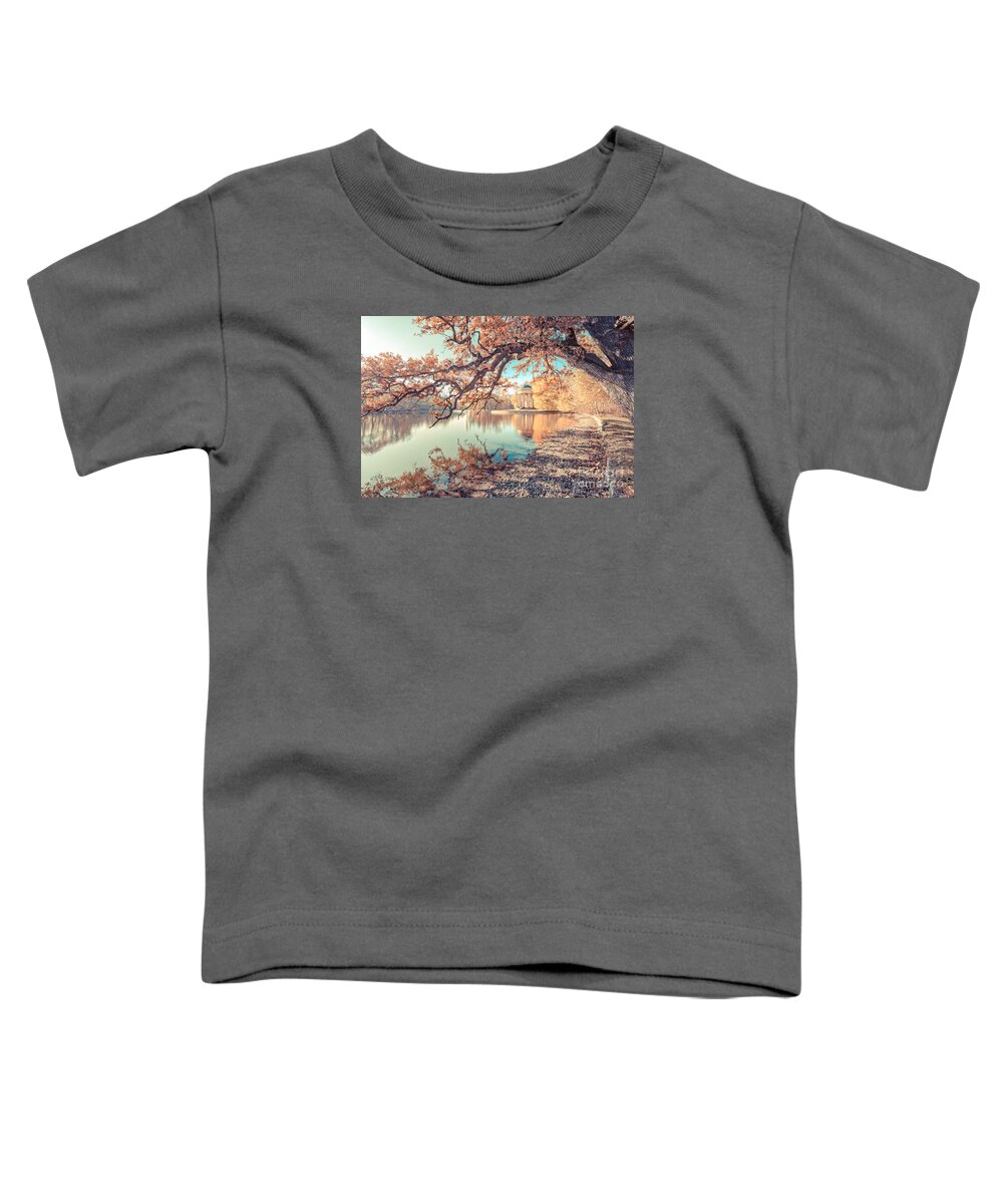 Bavaria Toddler T-Shirt featuring the photograph Munich at fall #1 by Hannes Cmarits