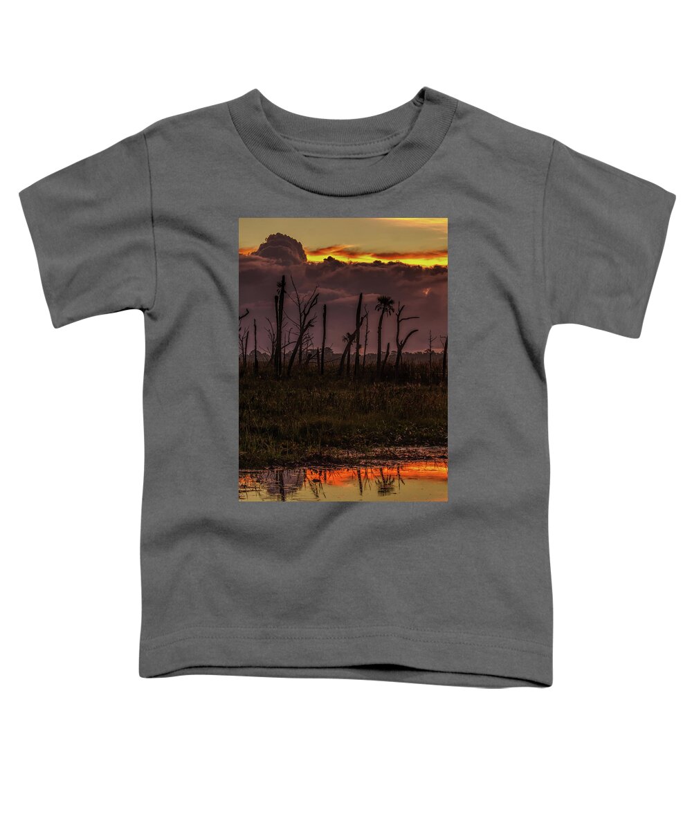 Sunrise Toddler T-Shirt featuring the photograph Orlando Wetlands Sunrise #1 by Dorothy Cunningham