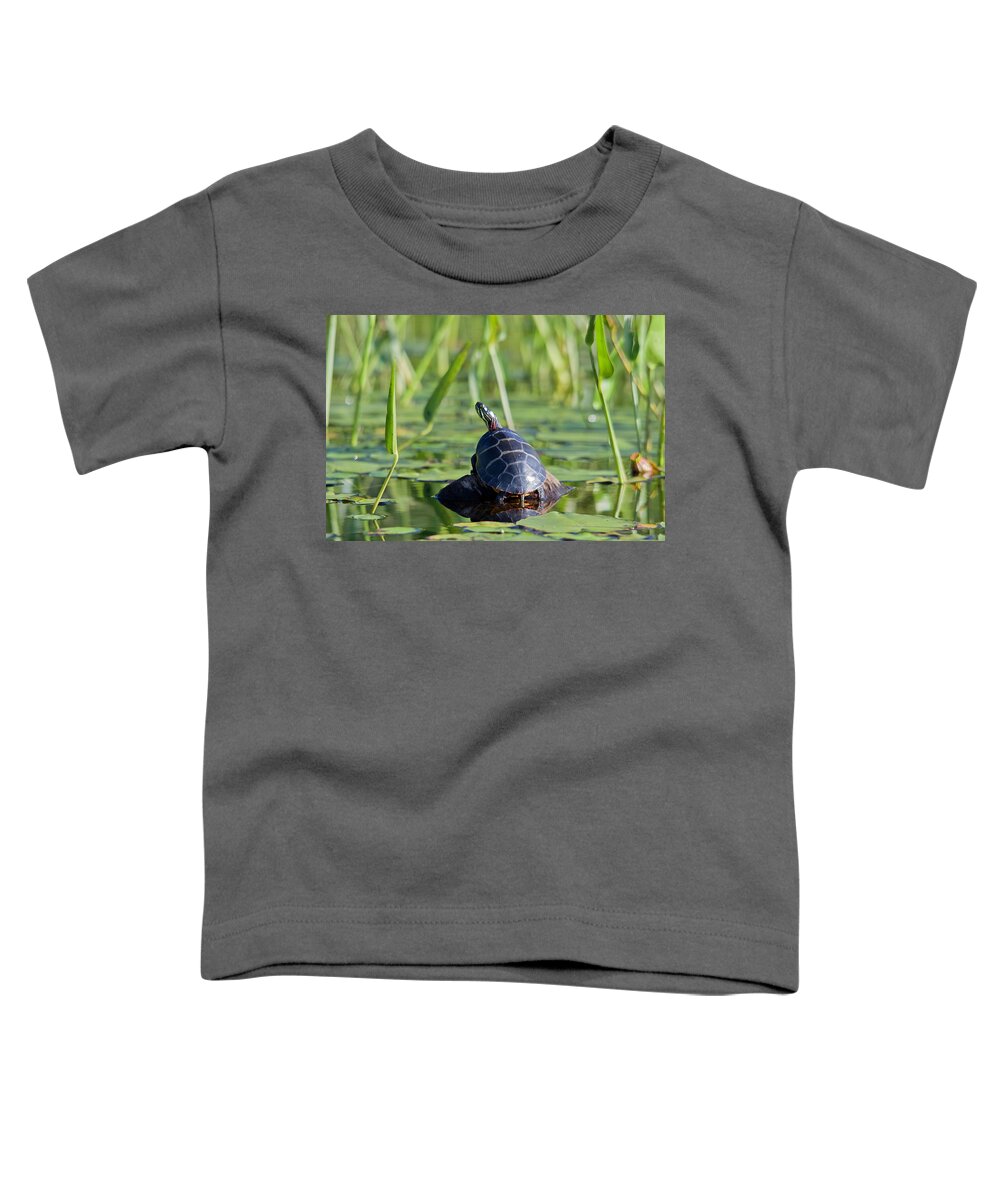 Turtle Toddler T-Shirt featuring the photograph Painted Turtle #1 by Benjamin Dahl