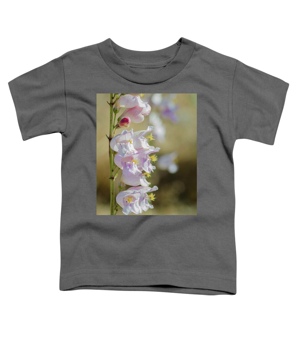 Wildflower Toddler T-Shirt featuring the photograph Palmer's Penstemon #1 by Rick Mosher
