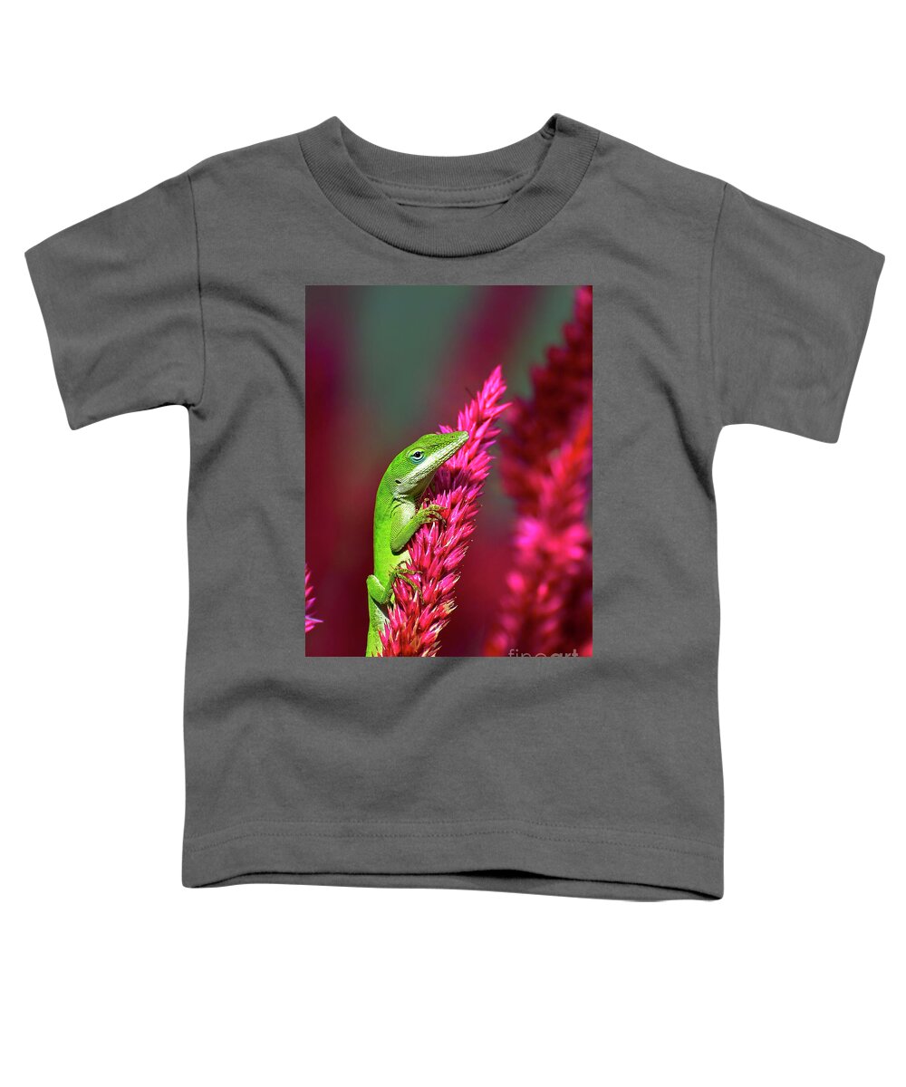 Reptiles Toddler T-Shirt featuring the photograph Pretty In Pink #1 by Kathy Baccari