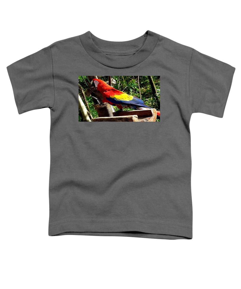 Scarlet Macaw Toddler T-Shirt featuring the digital art Scarlet Macaw #1 by Super Lovely