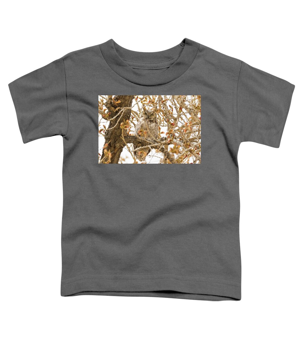 Owl Toddler T-Shirt featuring the photograph Staring Great Horned Owl #1 by Tony Hake