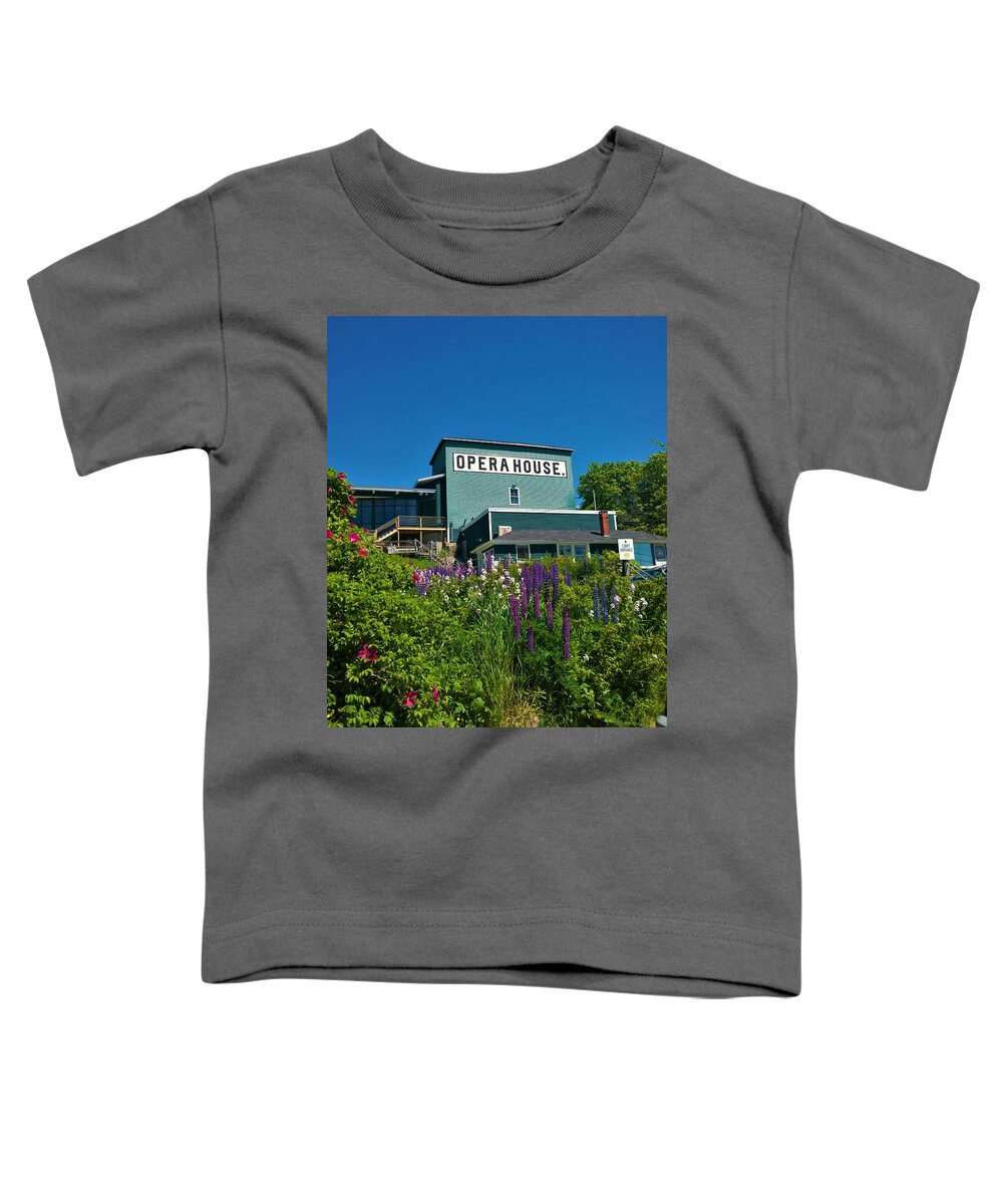 Stonington Toddler T-Shirt featuring the photograph Stonington #1 by Lisa Dunn