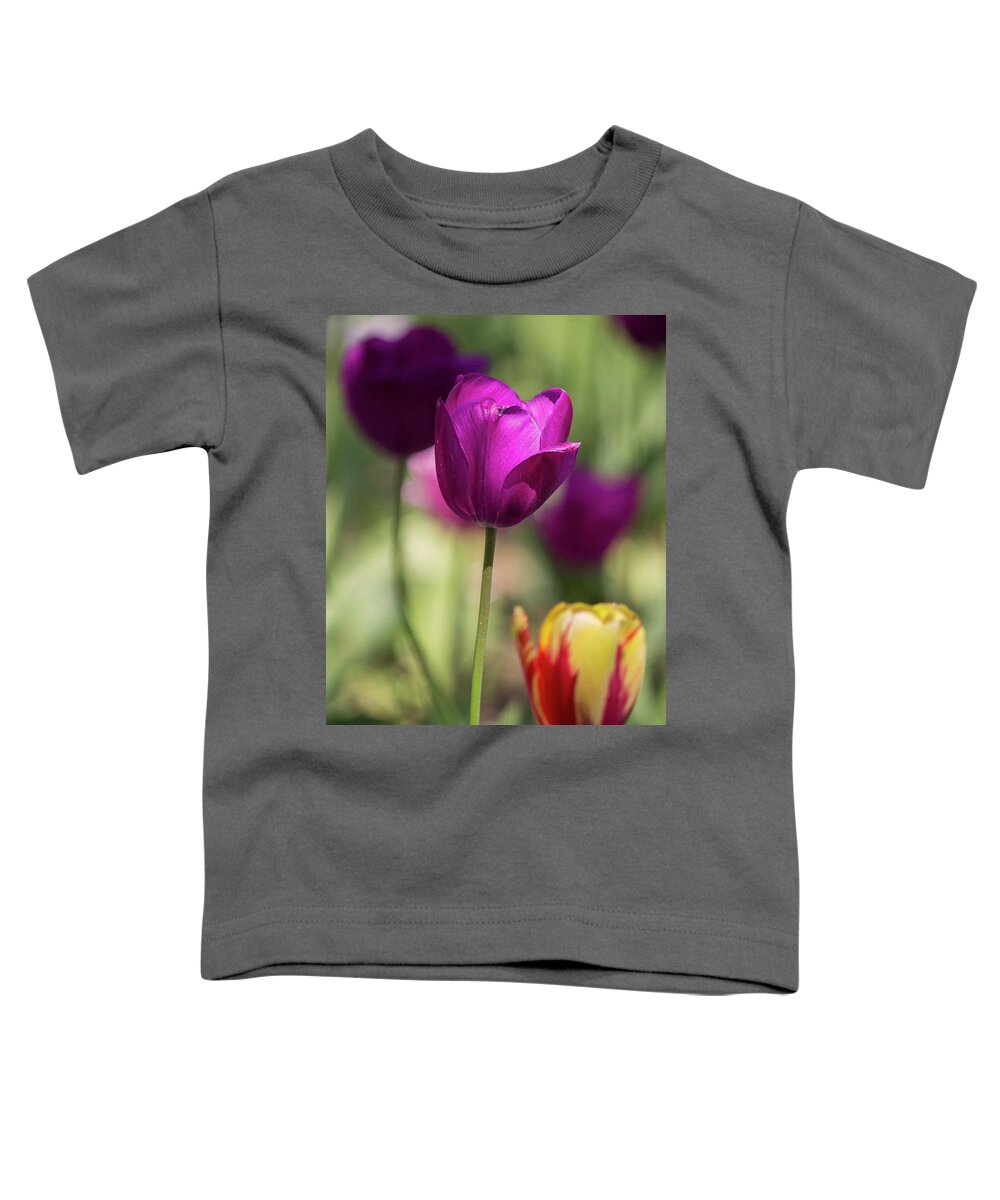 Tulip Toddler T-Shirt featuring the photograph Study of Tulips #2 by Doc Braham