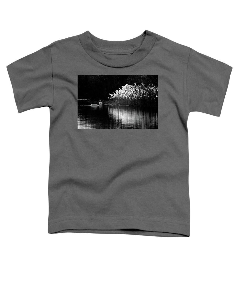 Swans Reeds Monochrome Toddler T-Shirt featuring the photograph Swans and reeds #1 by Ian Sanders