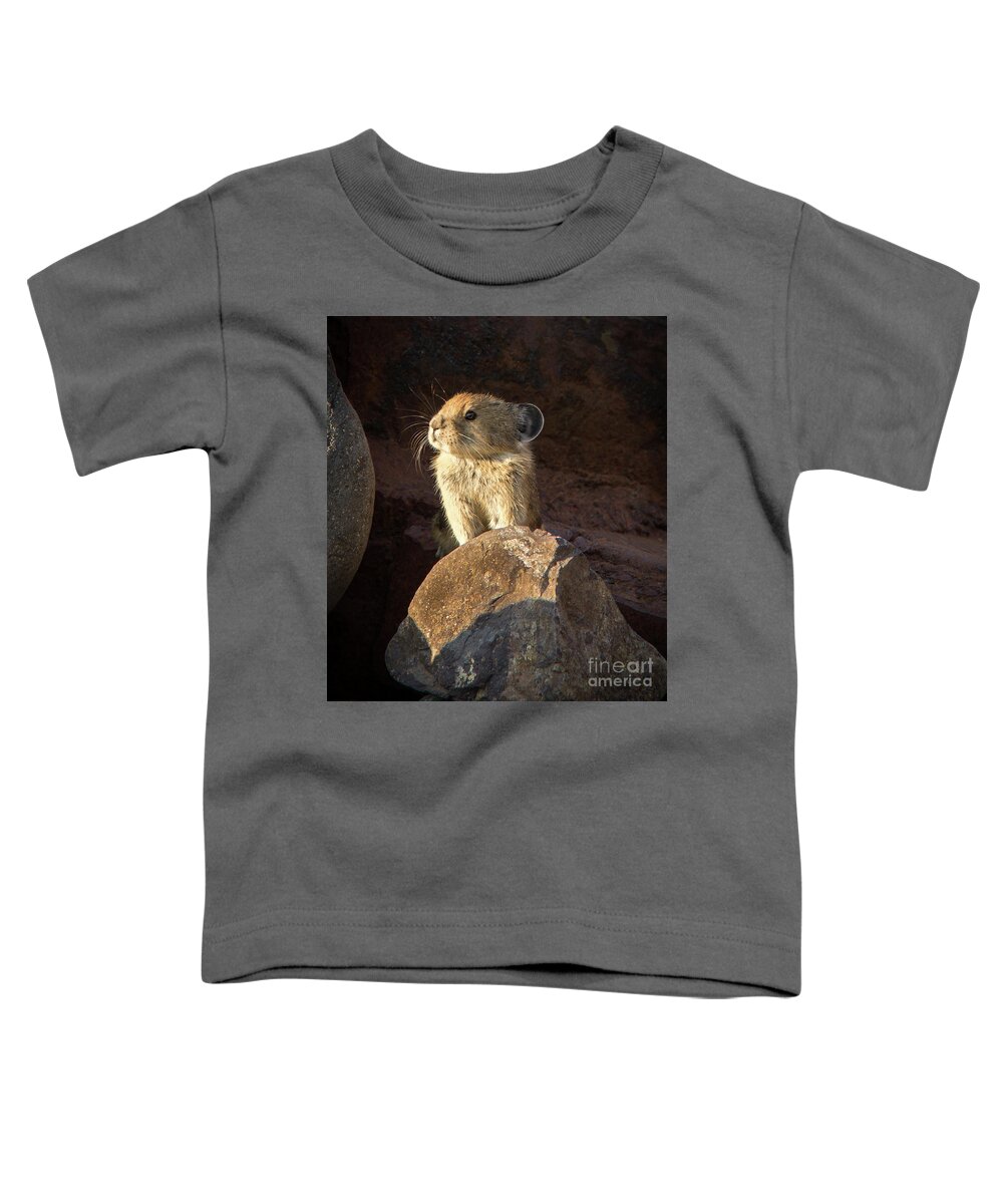 2016 Toddler T-Shirt featuring the photograph The Coast is Clear Wildlife Photography by Kaylyn Franks #1 by Kaylyn Franks