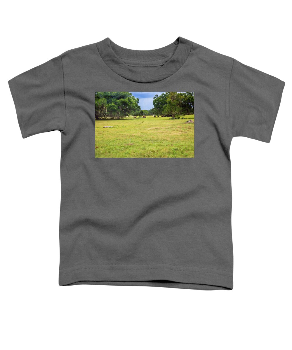 Cows Toddler T-Shirt featuring the photograph The Meadow by Judy Wright Lott