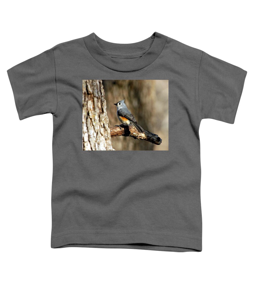 Nature Toddler T-Shirt featuring the photograph Tufted Titmouse on Branch by Sheila Brown