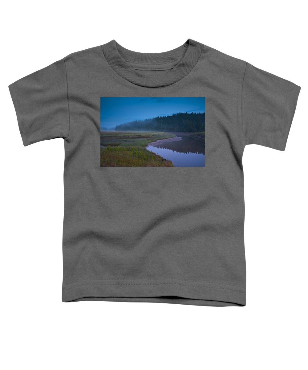 Raven Head Wilderness Toddler T-Shirt featuring the photograph Twilight Mist #1 by Irwin Barrett