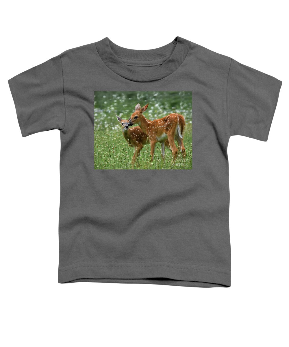 Twins Toddler T-Shirt featuring the photograph Twins by Amy Porter