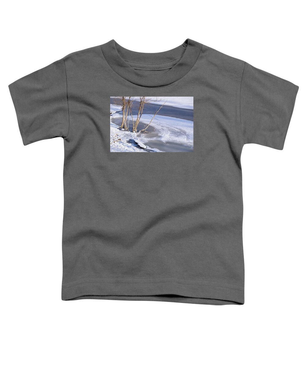 Horse Farm Autumn Toddler T-Shirt featuring the photograph Winter Field #1 by Tom Singleton
