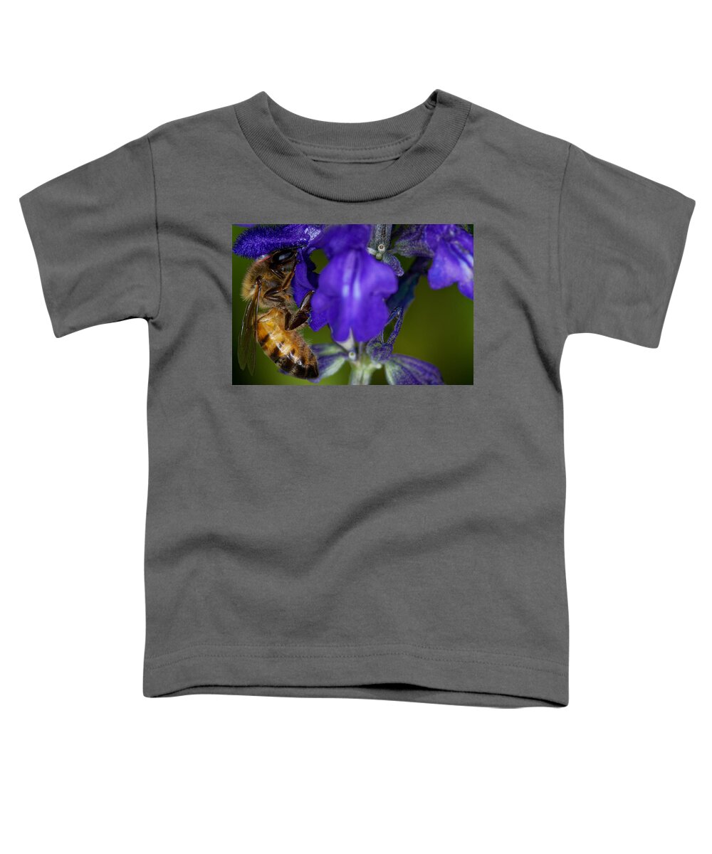 Bee Toddler T-Shirt featuring the photograph Worker Bee #1 by Jonathan Davison