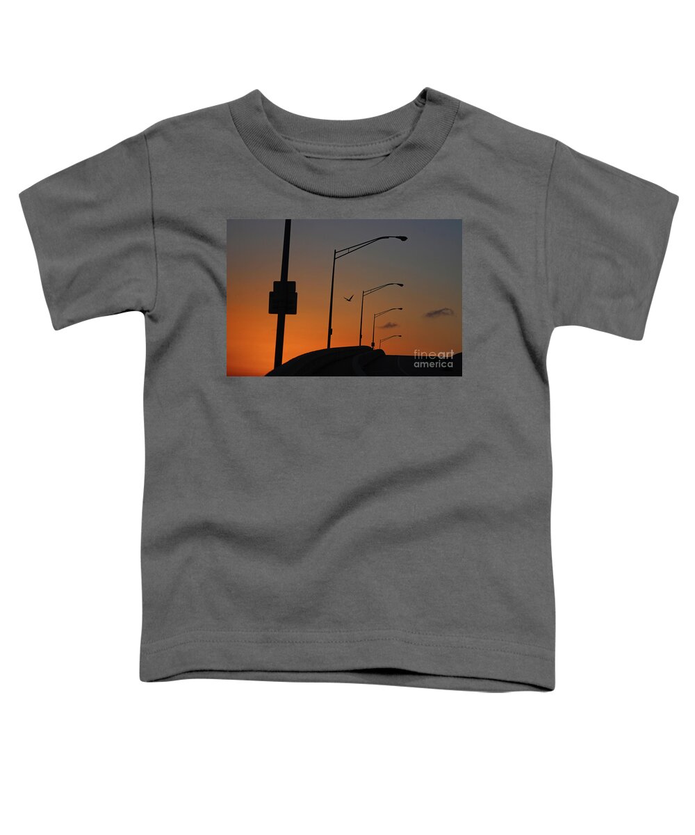 Pelican Toddler T-Shirt featuring the photograph 11- Pelican Sky by Joseph Keane