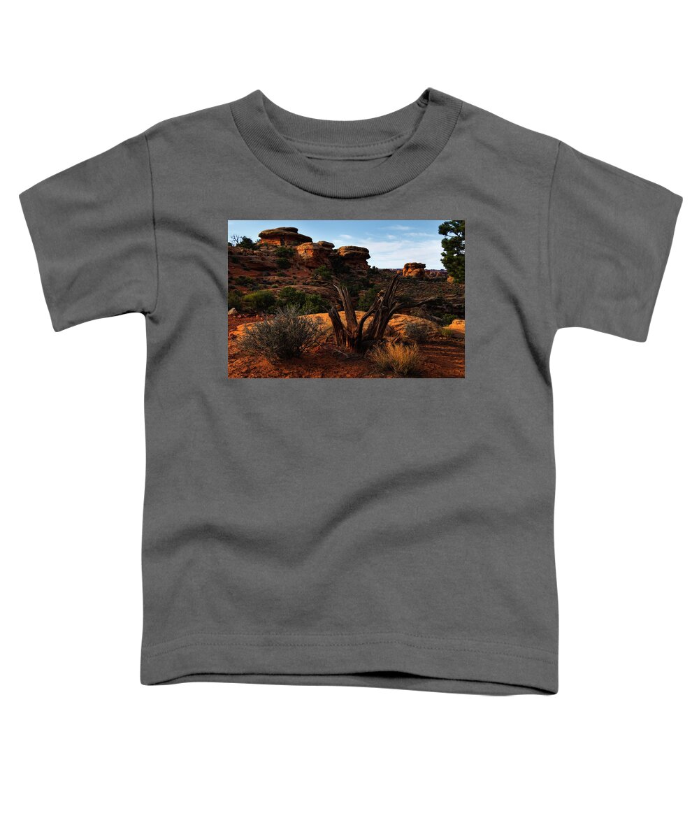 Canyonlands National Park Toddler T-Shirt featuring the photograph Canyonlands National Park Utah #12 by Douglas Pulsipher