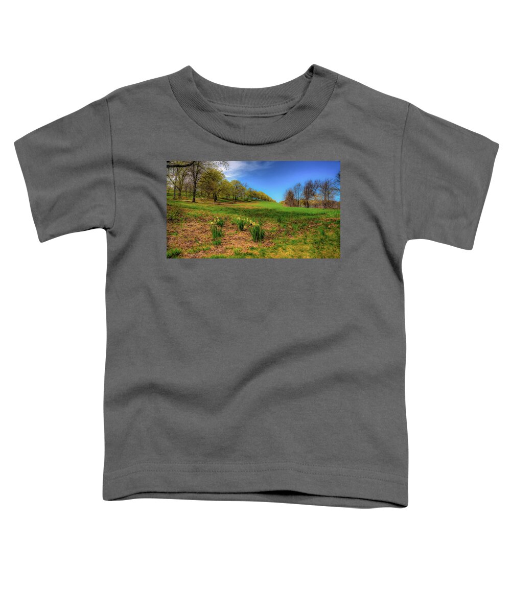  Toddler T-Shirt featuring the photograph Worlds End #14 by David Henningsen
