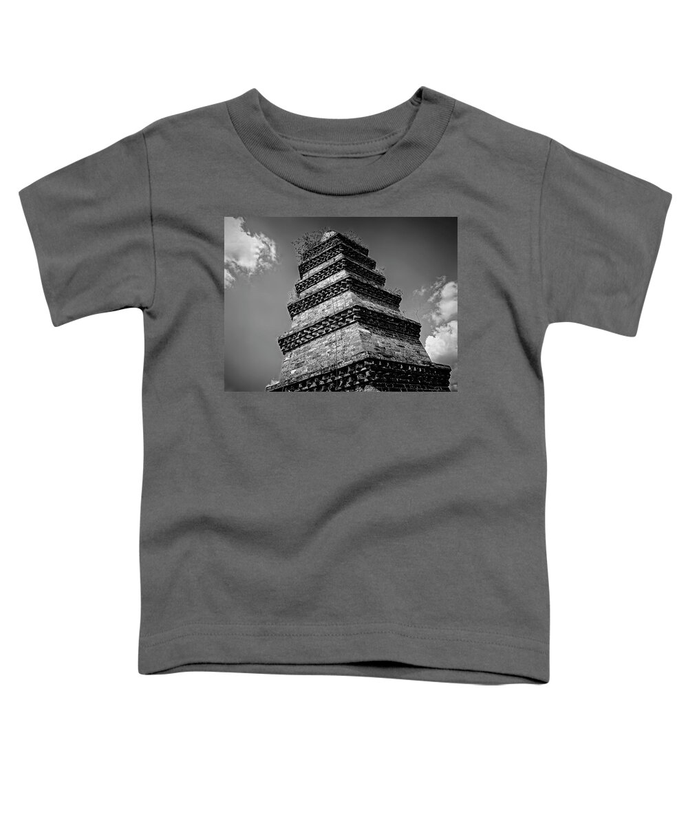 China Toddler T-Shirt featuring the photograph China Guilin landscape scenery photography #17 by Artto Pan