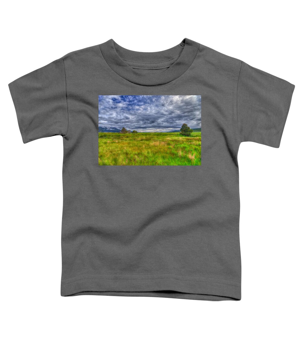 New Mexico Toddler T-Shirt featuring the photograph New Mexico 32 by David Henningsen
