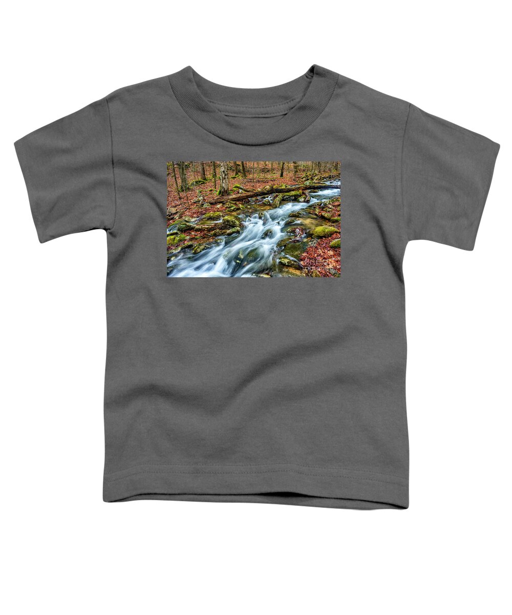 Aldrich Branch Toddler T-Shirt featuring the photograph Aldrich Branch Monongahela National Forest #2 by Thomas R Fletcher