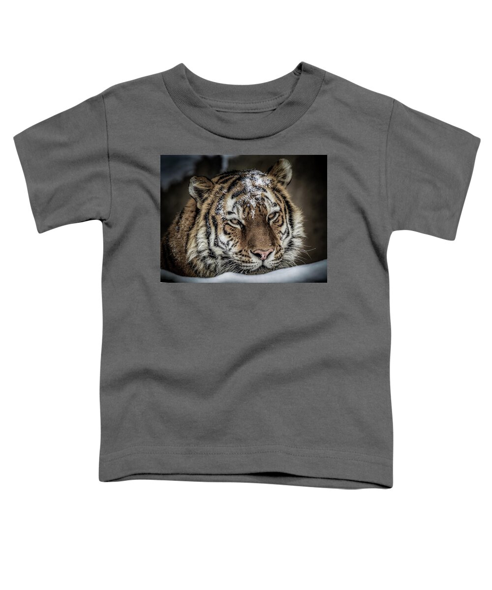 Amur Toddler T-Shirt featuring the photograph Amur Tiger #2 by Ron Pate