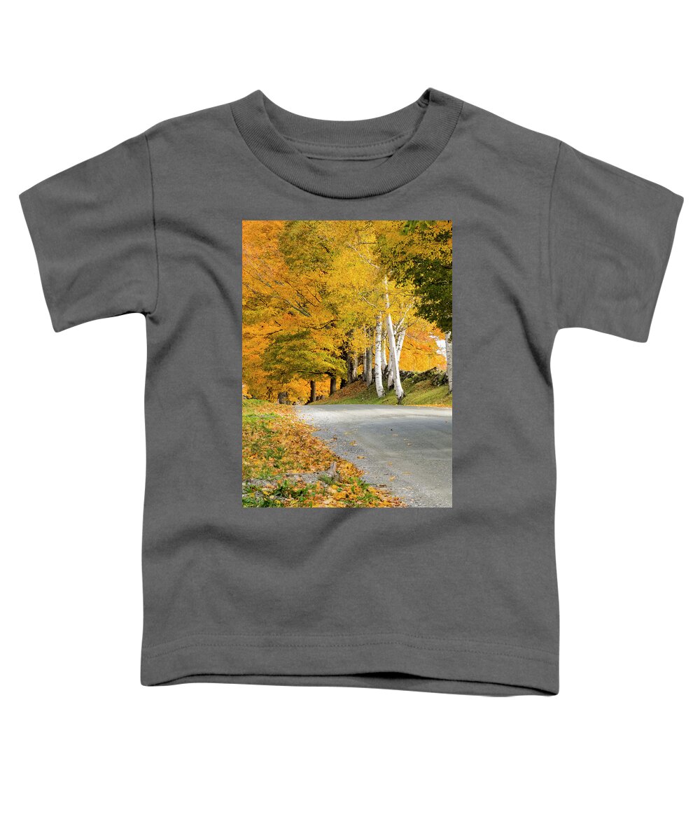 Autumn Birches Toddler T-Shirt featuring the photograph Autumn Road by Tom Singleton