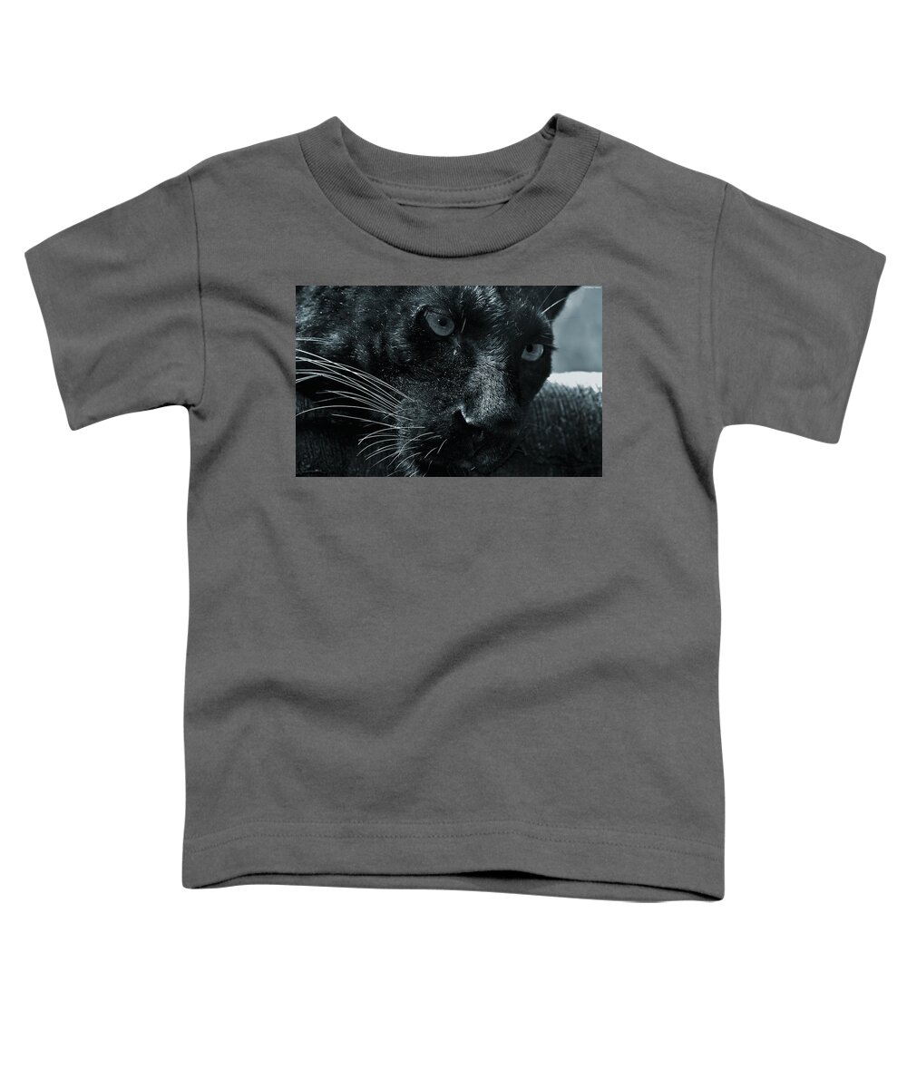 Black Panther Toddler T-Shirt featuring the photograph Black Panther #2 by Mariel Mcmeeking