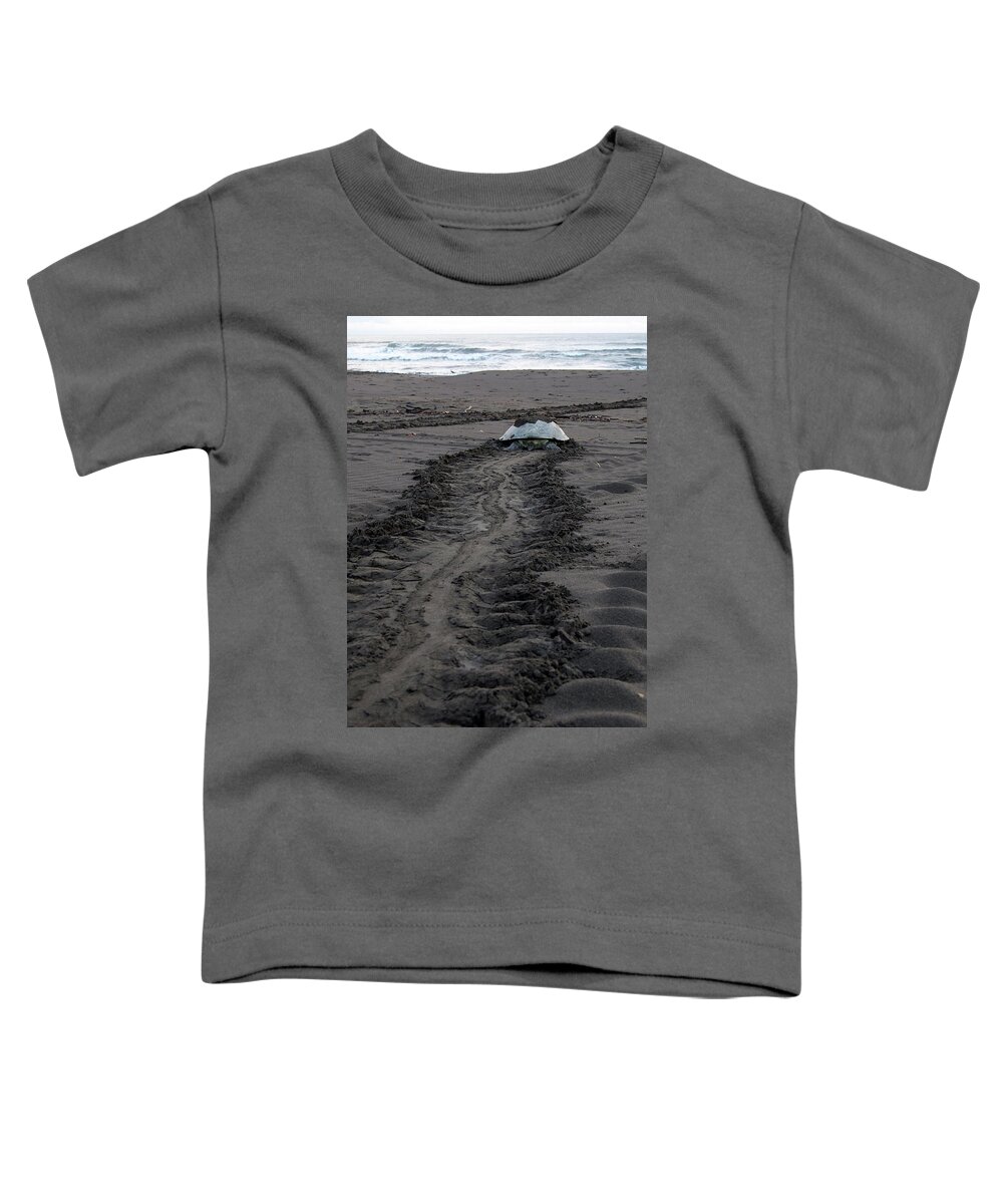 Green Sea Turtle Toddler T-Shirt featuring the photograph Green Sea Turtle returning to sea #2 by Breck Bartholomew