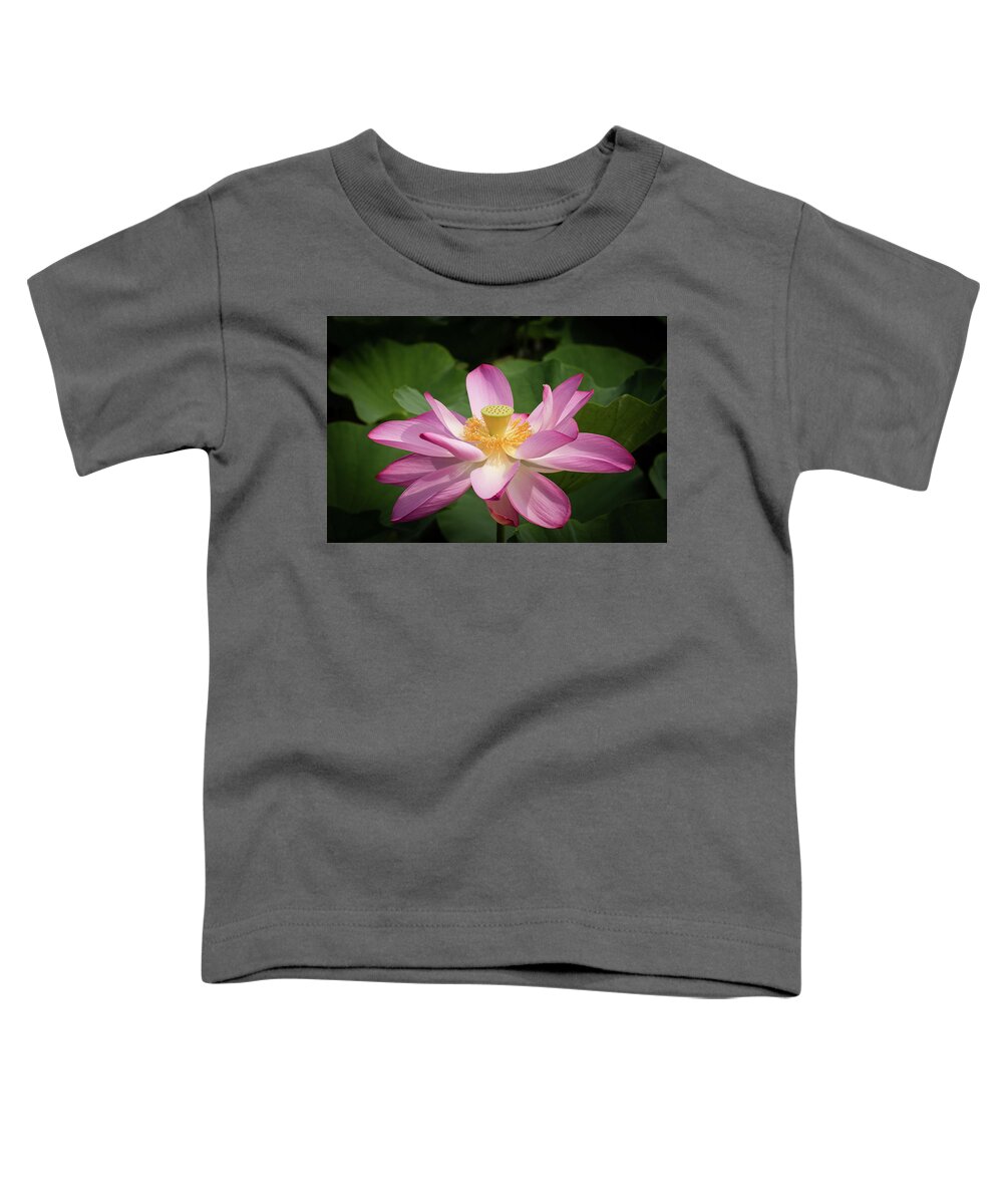 Flower Toddler T-Shirt featuring the photograph Lotus #2 by Richard Macquade