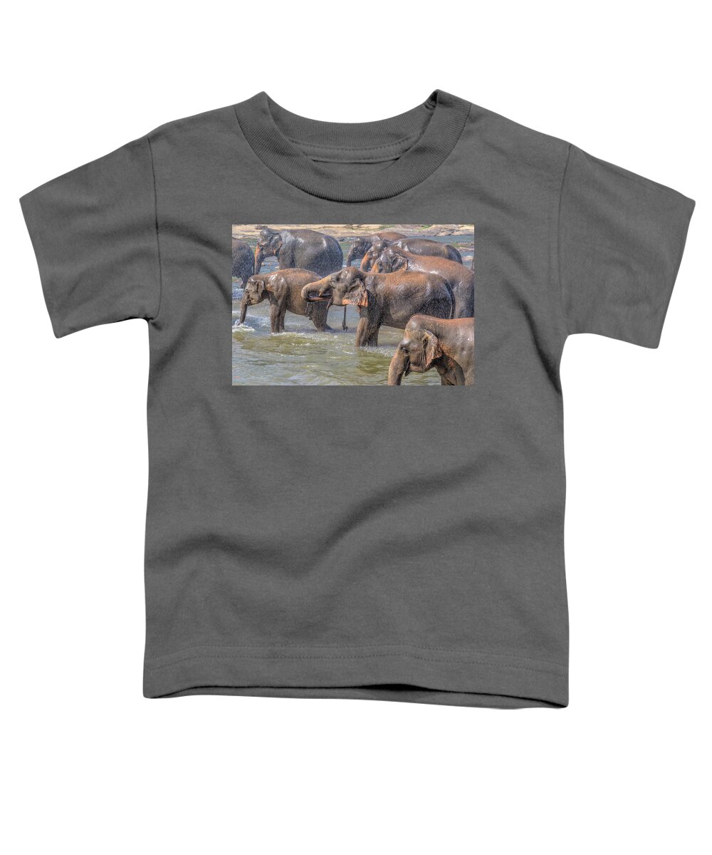 Pinnawala Elephant Orphanage Toddler T-Shirt featuring the photograph Pinnawala - Sri Lanka #2 by Joana Kruse