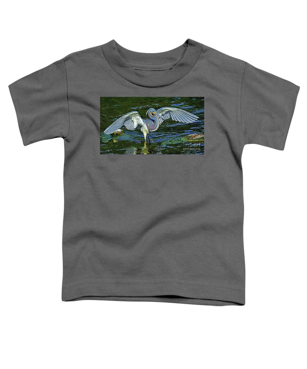 Bird Toddler T-Shirt featuring the photograph TriColor Hunting #2 by Larry Nieland