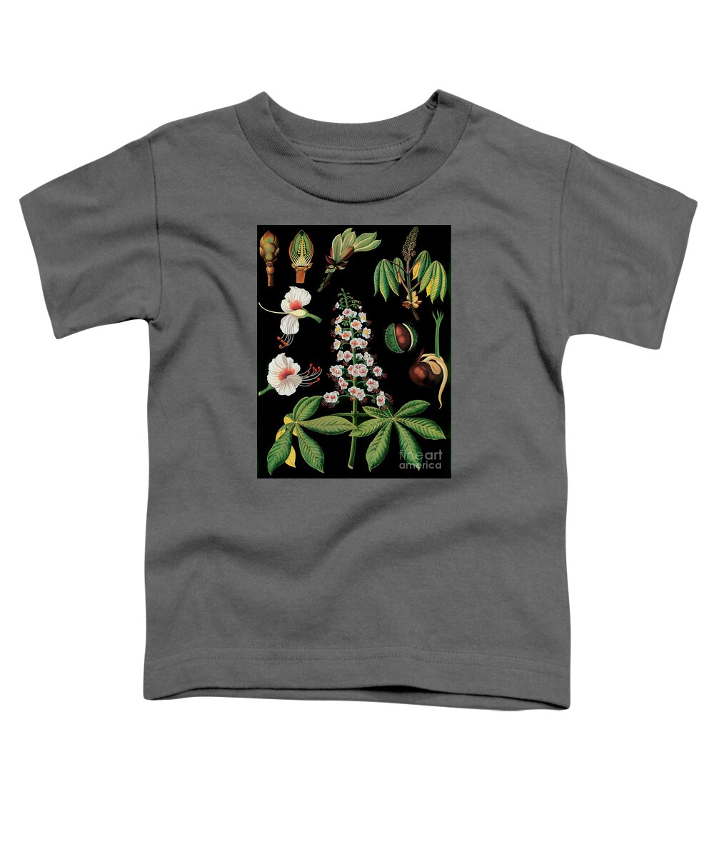 Vintage Botanical Art Toddler T-Shirt featuring the painting Vintage Botanical #2 by Mindy Sommers