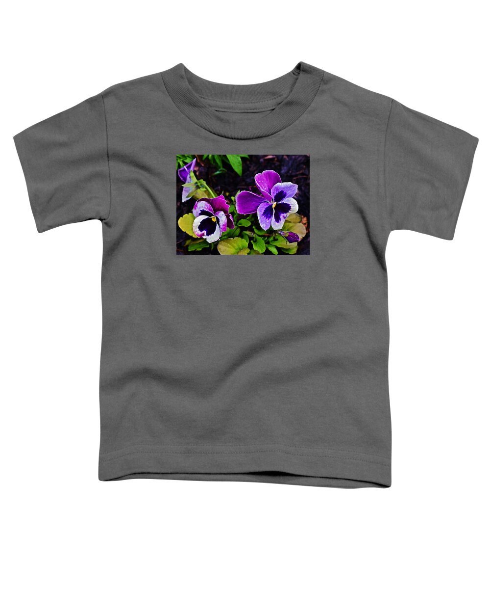 Pansies Toddler T-Shirt featuring the photograph 2015 Spring at Olbrich Gardens Violet Pansies by Janis Senungetuk