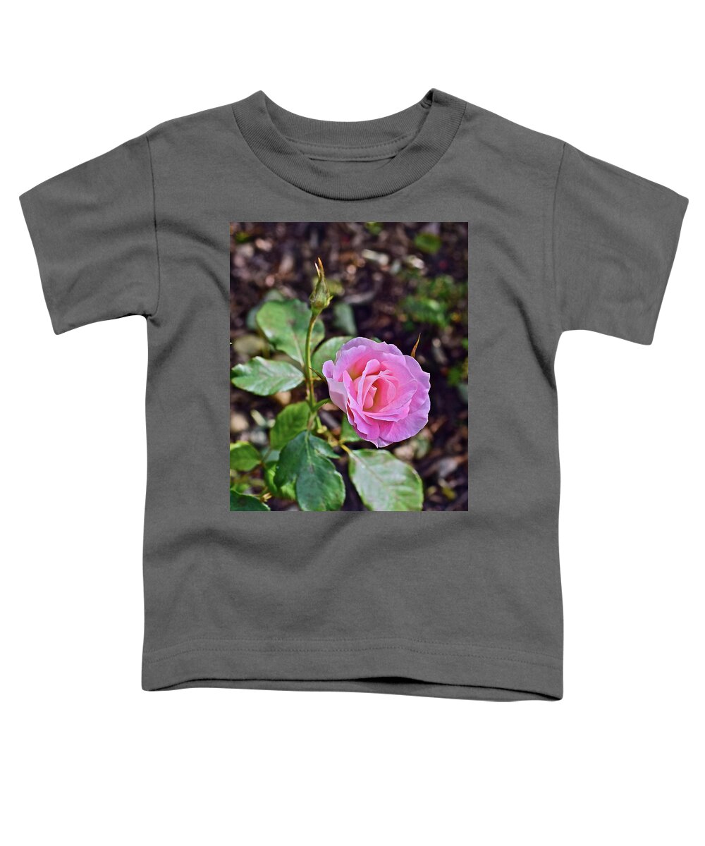 Rose Toddler T-Shirt featuring the photograph 2016 Early October Rose by Janis Senungetuk
