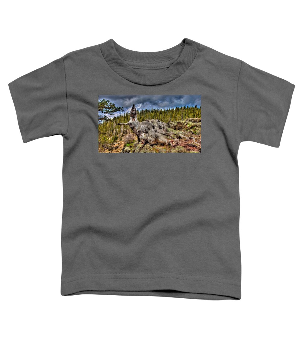 New Mexico Toddler T-Shirt featuring the photograph New Mexico 25 by David Henningsen