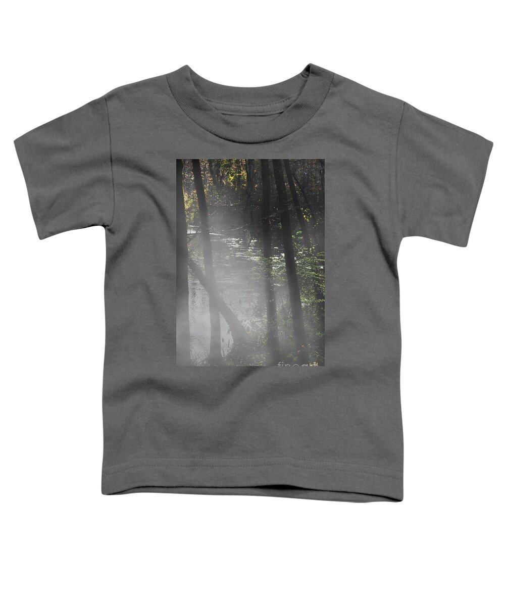 Scenic Tours Toddler T-Shirt featuring the photograph Forest Primeval #3 by Skip Willits