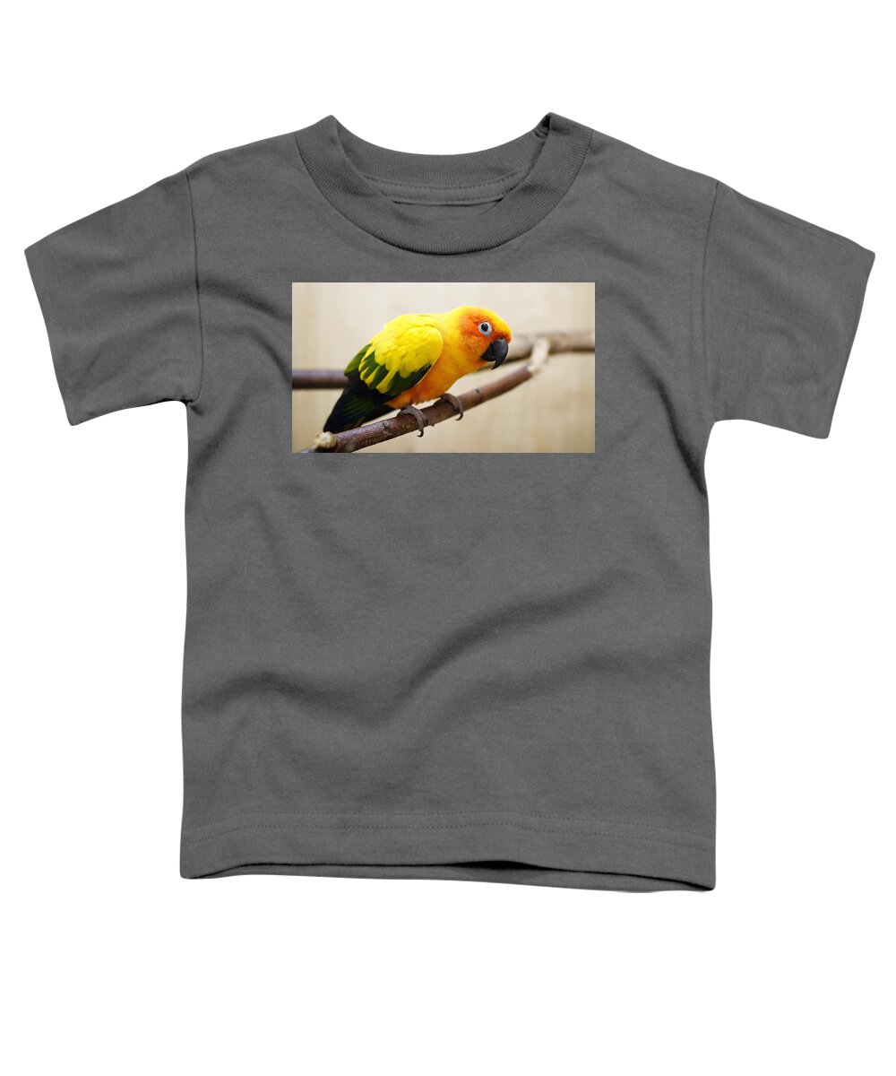 Parrot Toddler T-Shirt featuring the photograph Parrot #3 by Jackie Russo