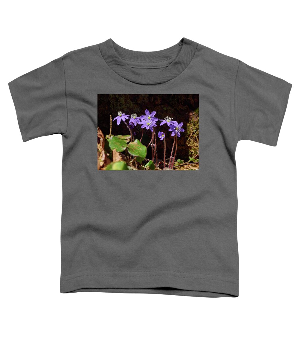 Finland Toddler T-Shirt featuring the photograph Anemone hepatica #4 by Jouko Lehto